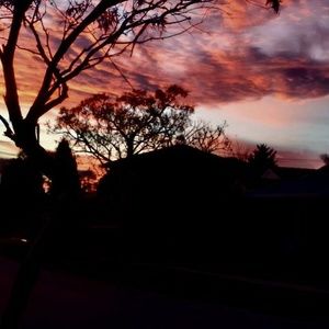 Meet your Posher, Vera